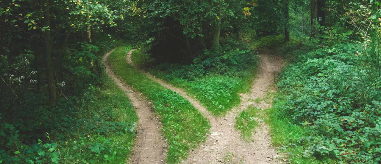 Environmental Sustainability